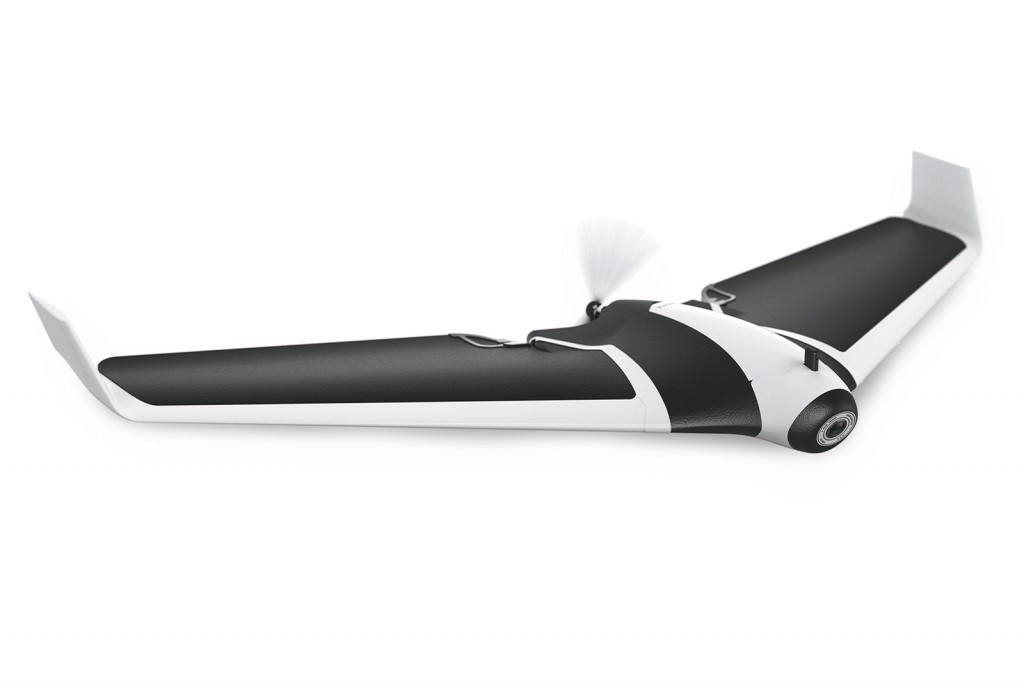 8 PARROT DISCO (Copy)