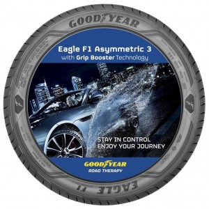 Goodyear Eagle F1 Asymmetric 3 (4)