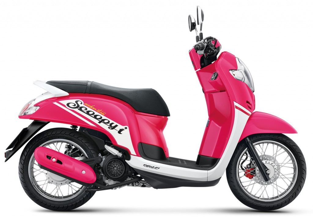 Scoopy  i_2