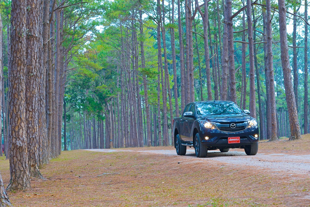 DSC_4796 copy