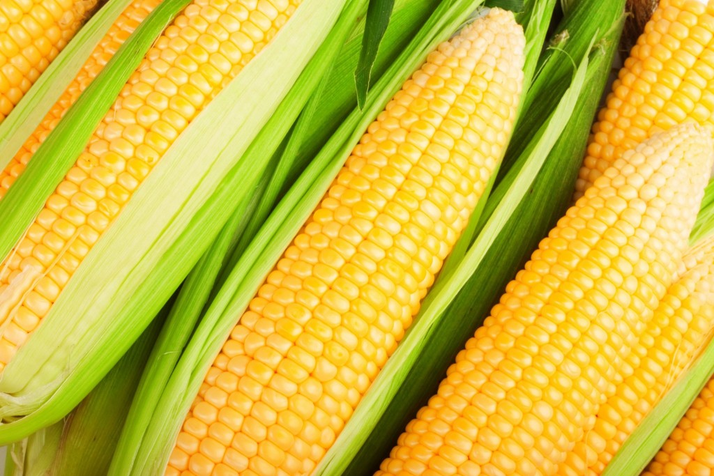 cone