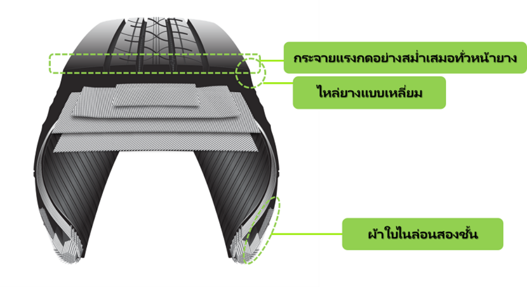 2.ECOPIA R156