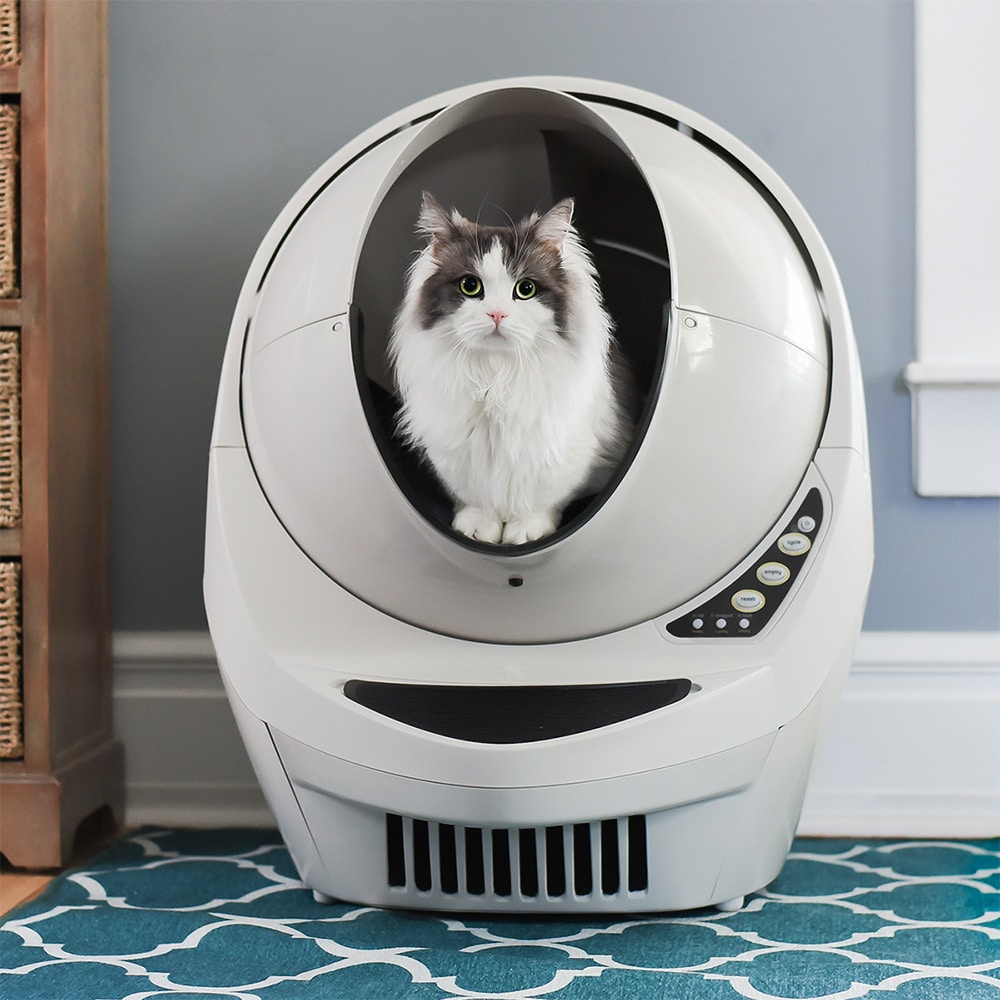 TTT303.feat_main_home.litter_robot_automatic_litter_box copy