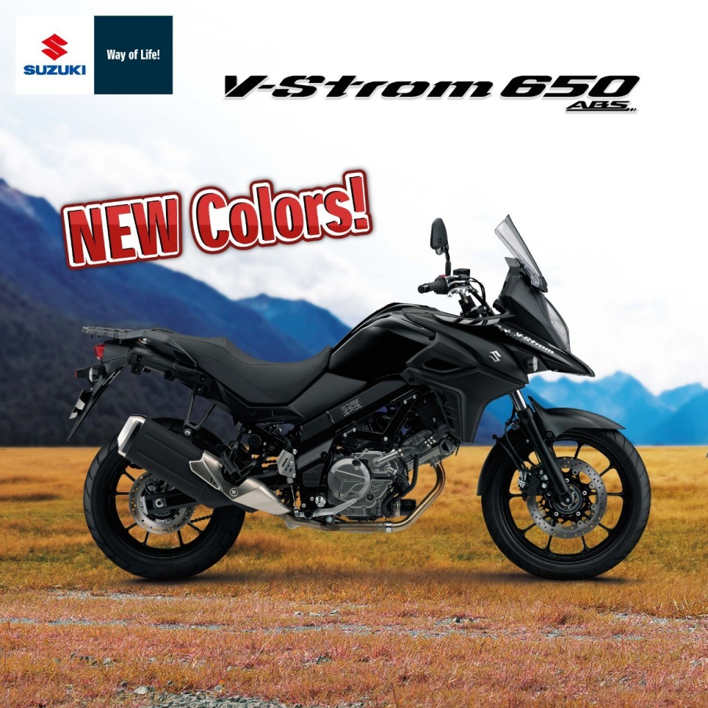 V-Strom650NewColor_๒๐๐๘๐๔_1