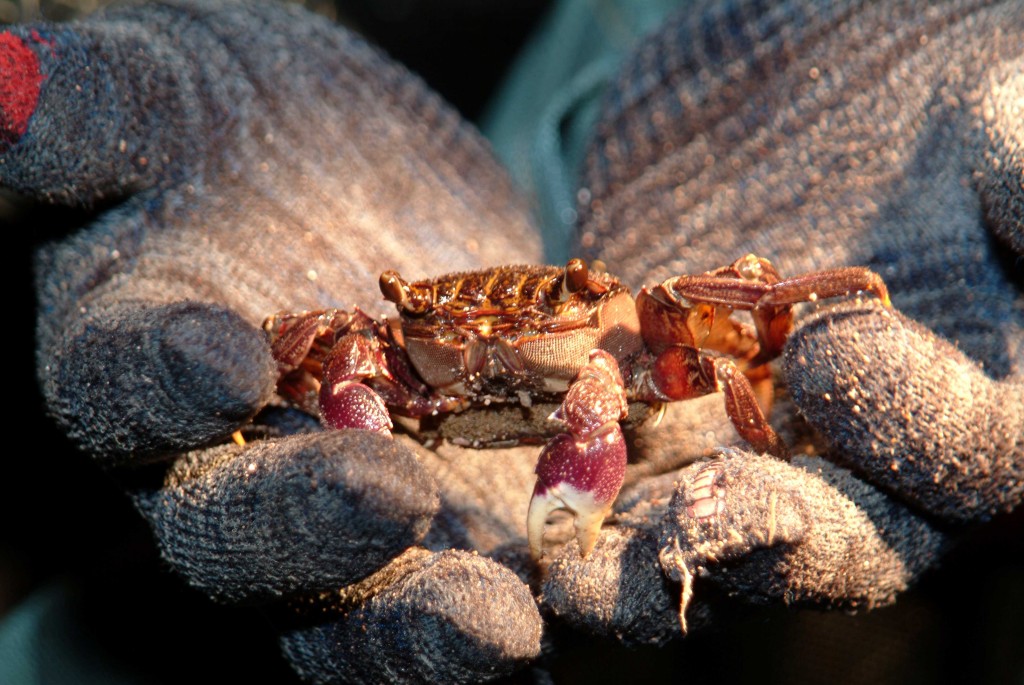 70221887-B8AC-4392-85A1-D9B4C35FDC4A